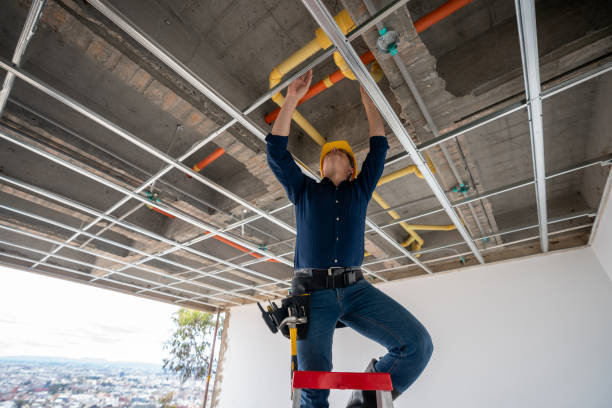 Best Best Plumbers Near Me  in Universal City, TX